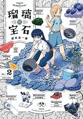 瑠璃の宝石 2の表紙画像
