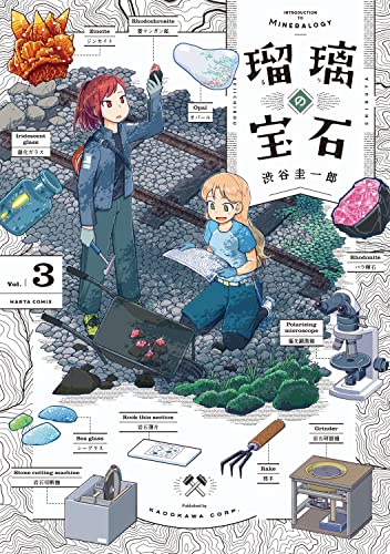 瑠璃の宝石 3の表紙画像