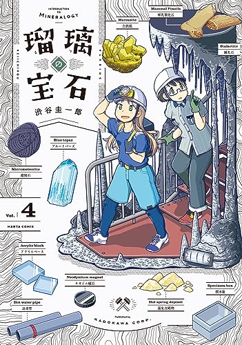 瑠璃の宝石 4の表紙画像