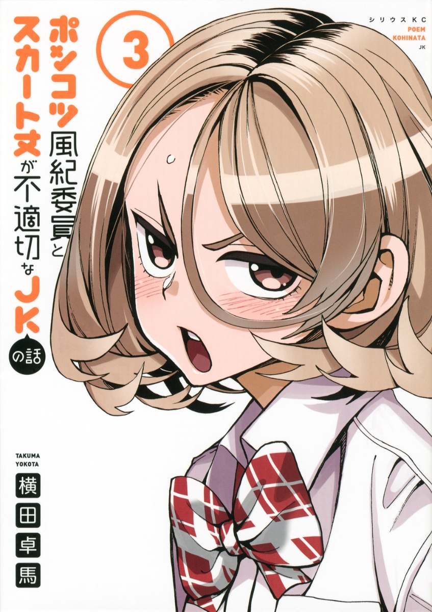 ポンコツ風紀委員とスカート丈が不適切なJKの話 3の表紙画像