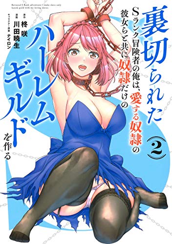 裏切られたSランク冒険者の俺は、愛する奴隷の彼女らと共に奴隷だけのハーレムギルドを作る