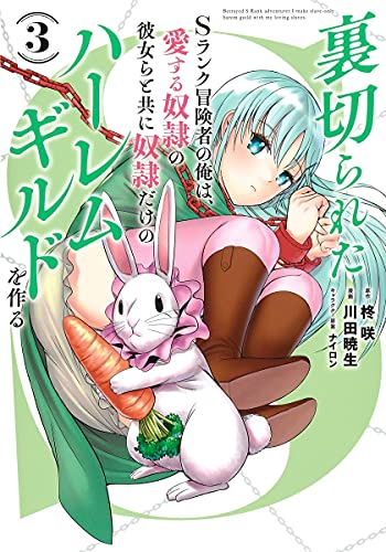 裏切られたSランク冒険者の俺は、愛する奴隷の彼女らと共に奴隷だけのハーレムギルドを作る
