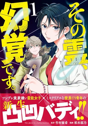 その霊、幻覚です。