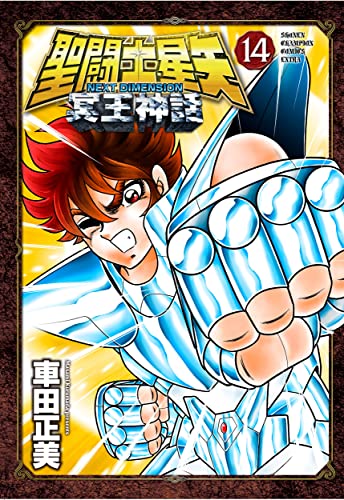 聖闘士星矢 NEXT DIMENSION 冥王神話 14の表紙画像
