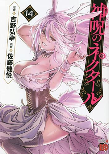 神呪のネクタール 14の表紙画像
