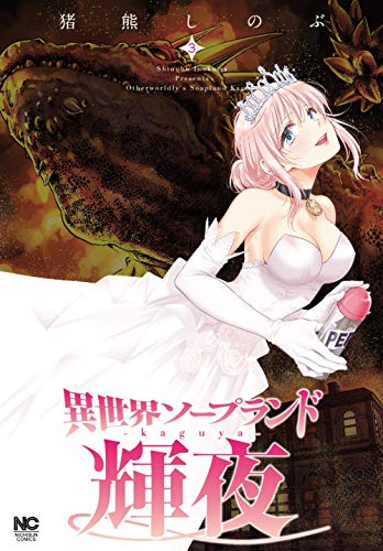 異世界ソープランド輝夜 3の表紙画像