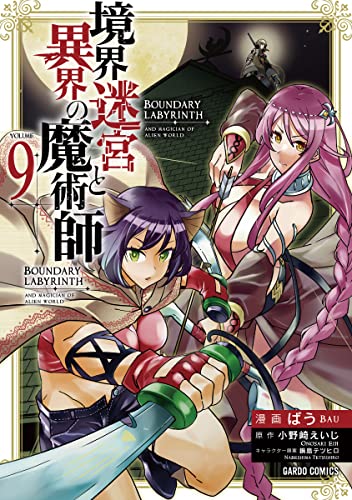境界迷宮と異界の魔術師 9の表紙画像