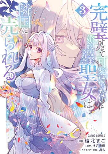 完璧すぎて可愛げがないと婚約破棄された聖女は隣国に売られる 3の表紙画像