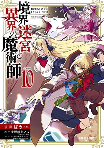 境界迷宮と異界の魔術師 10の表紙画像