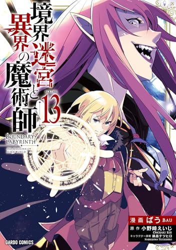 境界迷宮と異界の魔術師 13の表紙画像