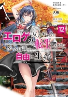 マジカル★エクスプローラー エロゲの友人キャラに転生したけど、ゲーム知識使って自由に生きる 12［ 入栖 ］の自炊・スキャンなら自炊の森