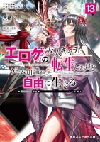 マジカル★エクスプローラー エロゲの友人キャラに転生したけど、ゲーム知識使って自由に生きる 13［ 入栖 ］の自炊・スキャンなら自炊の森