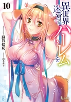 異世界迷宮でハーレムを 10［ 蘇我 捨恥 ］の自炊・スキャンなら自炊の森