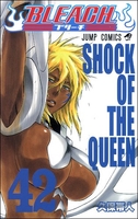 BLEACH―ブリーチ― 42［ 久保 帯人 ］の自炊・スキャンなら自炊の森