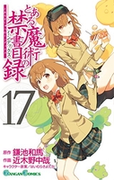 とある魔術の禁書目録 17［ 鎌池 和馬 ］の自炊・スキャンなら自炊の森